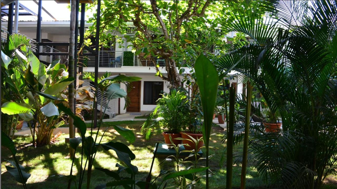 Wide Mouth Frog Quepos Hostel Мануел Антонио Екстериор снимка